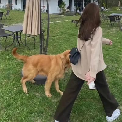泄密者死